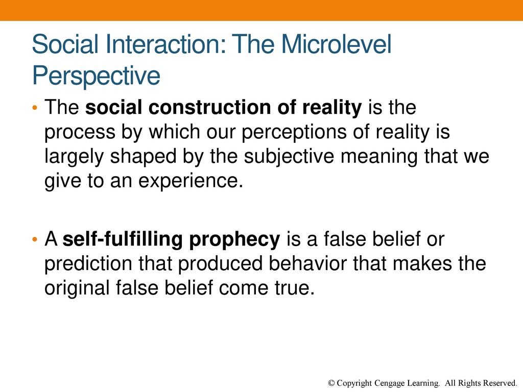 Chapter 5 Social Structure and Interaction in Everyday Life. ppt download