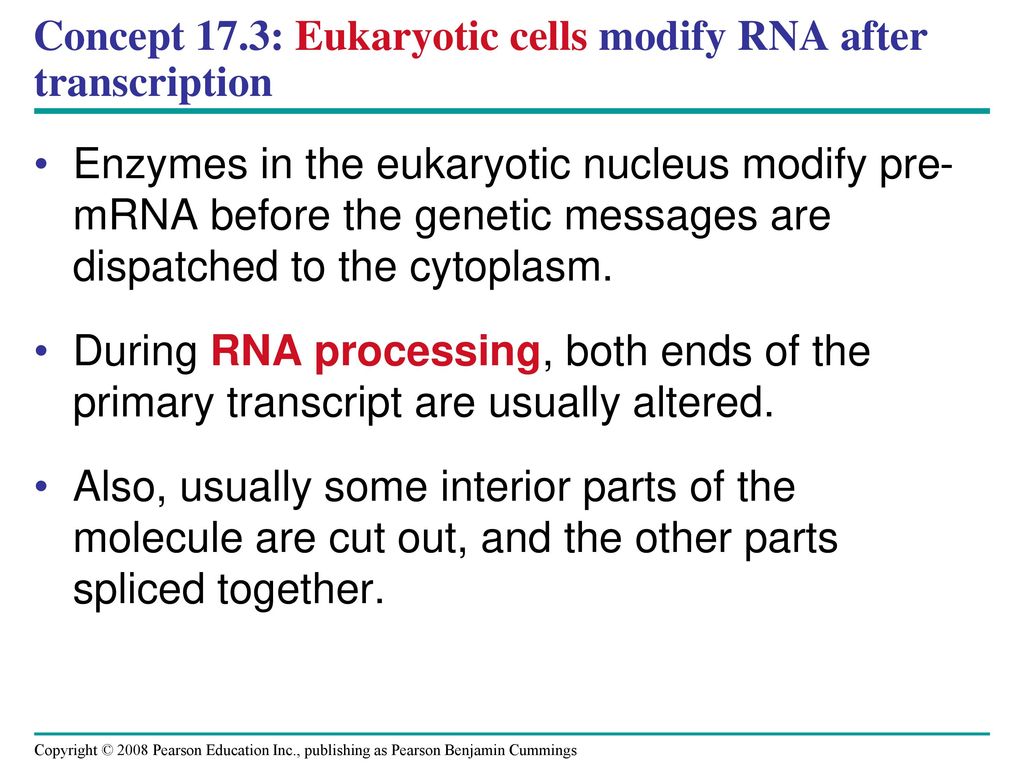 Concept 17.3: Eukaryotic cells modify RNA after transcription