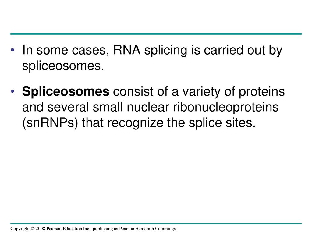 In some cases, RNA splicing is carried out by spliceosomes.