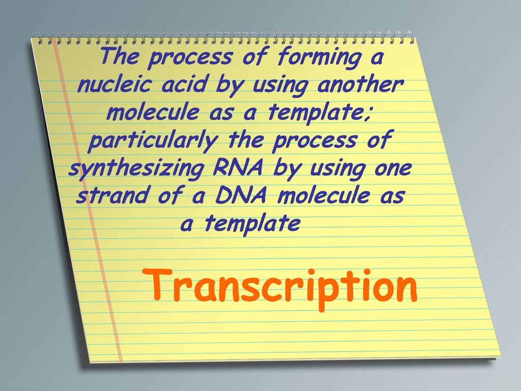 Chapter 10 DNA, RNA, and Protein Synthesis ppt download