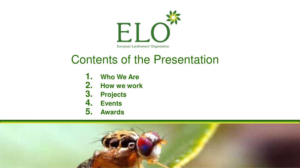 Contents of the Presentation