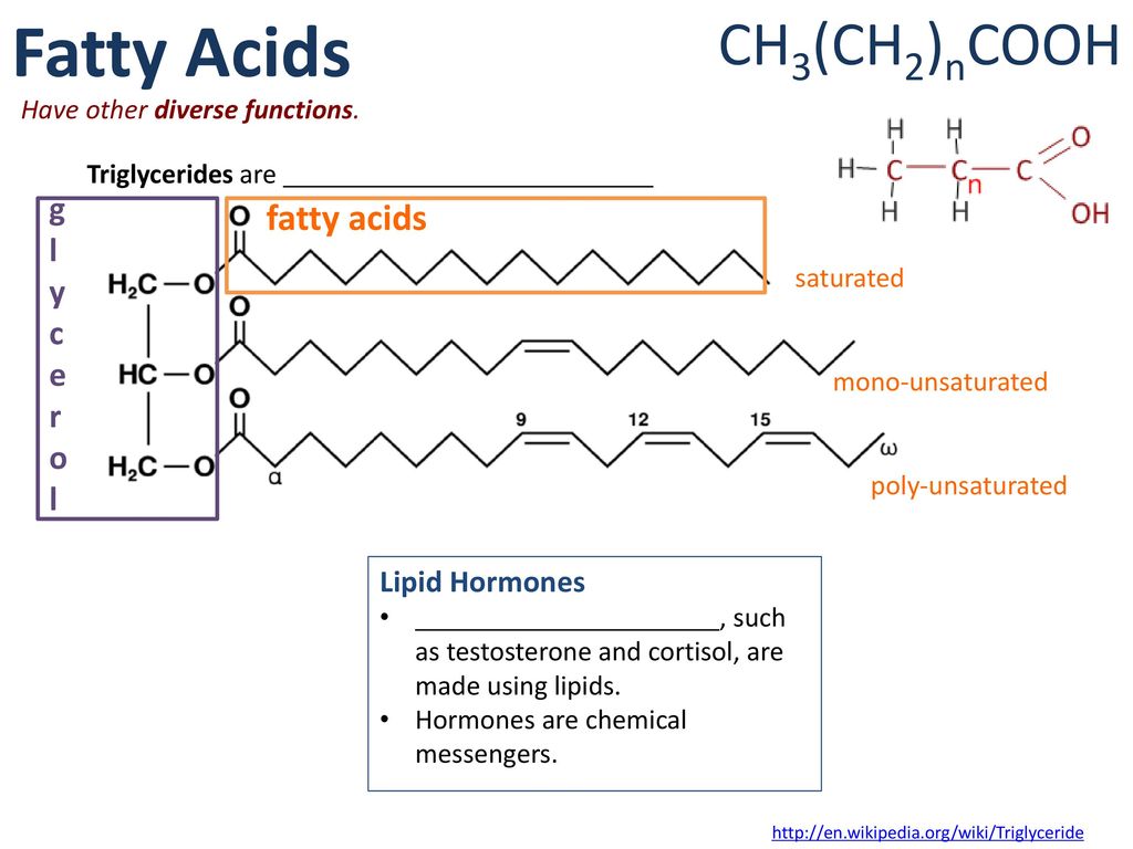 fatty acids. 