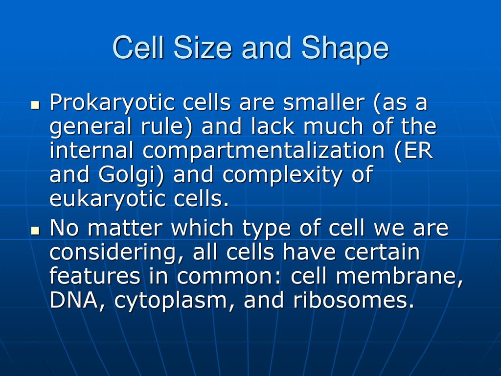 The Plant and Animal Cell - ppt download