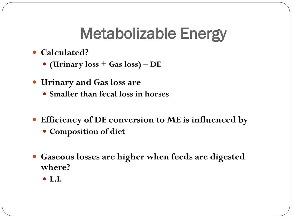 Equine Nutrition Energy. - ppt download