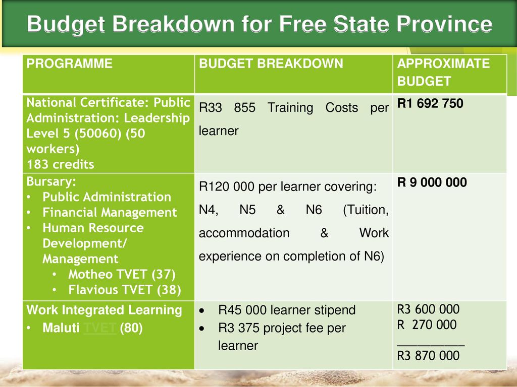 Budget Breakdown for Free State Province