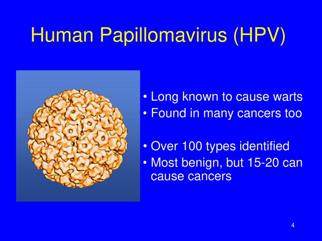 can hpv cause benign tumors
