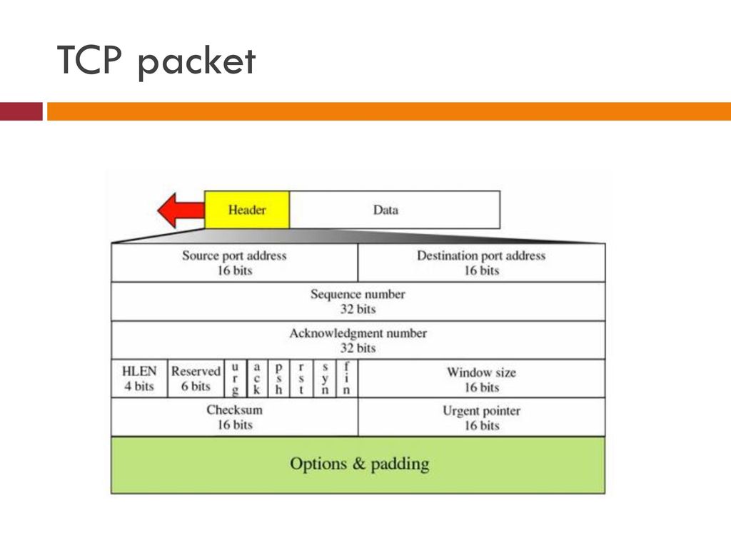 Some packet. TCP протокол пакет. TCP IP пакет. Формат пакета TCP. Заголовок пакета TCP.
