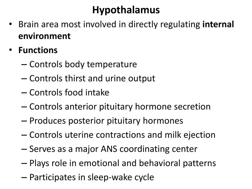 The Limbic System Ppt Download