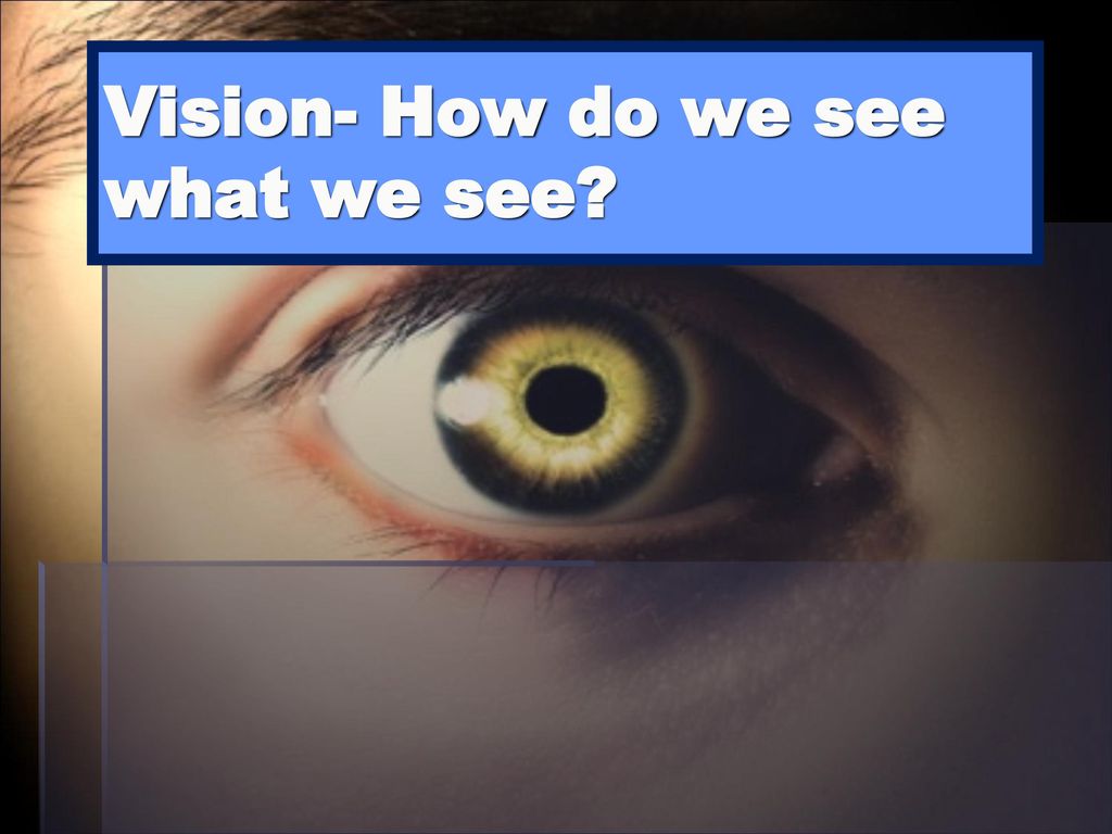 Vision- How do we see what we see? - ppt download