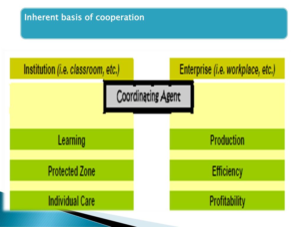 Inherent basis of cooperation