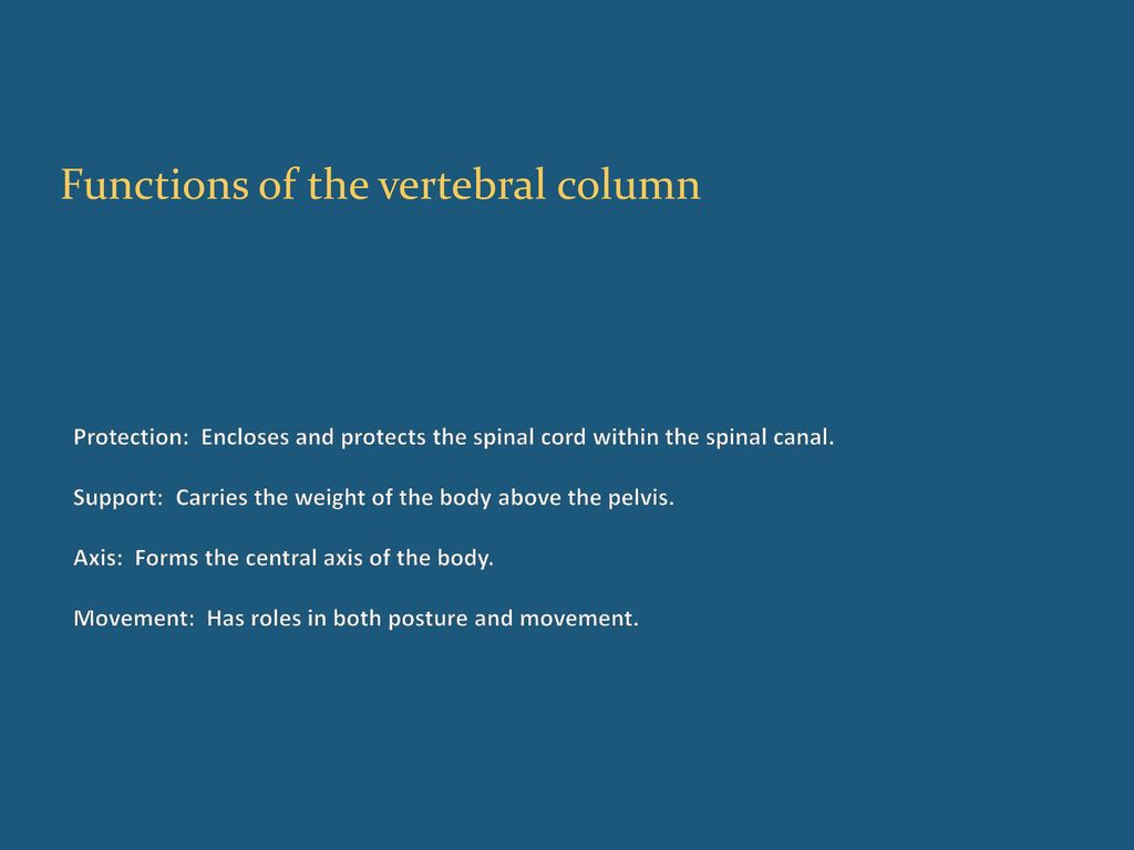 Spinal Procedure Coding in ICD ppt download