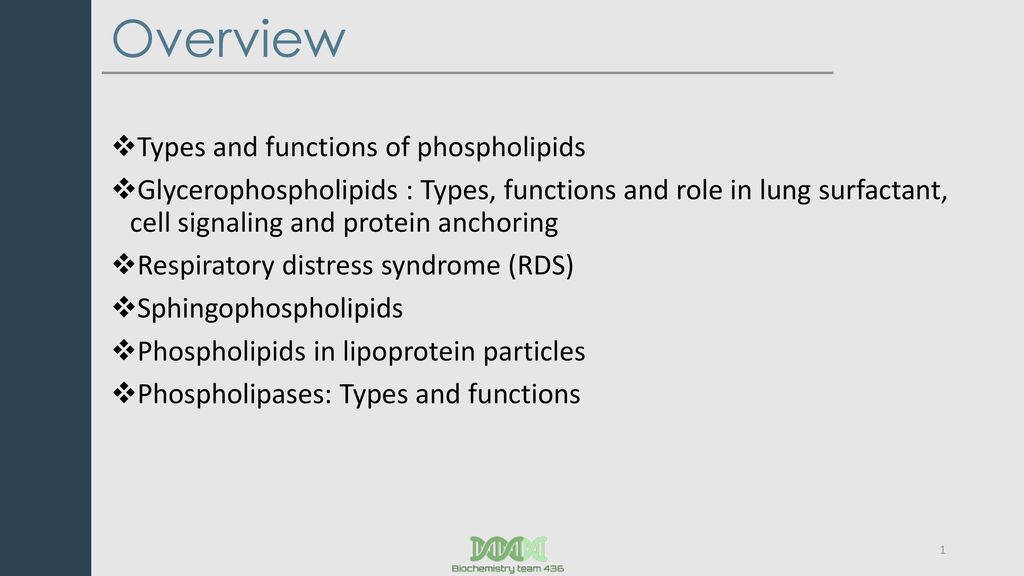Biochemistry Phospholipids Of Clinical Significance Important