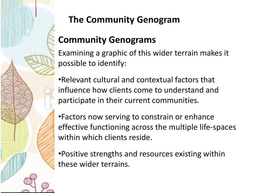community genogram community genogram