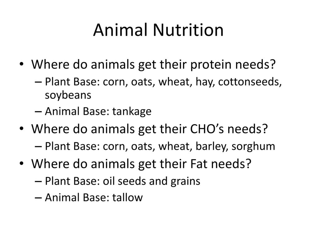Basic Animal Nutrition 2 - ppt download