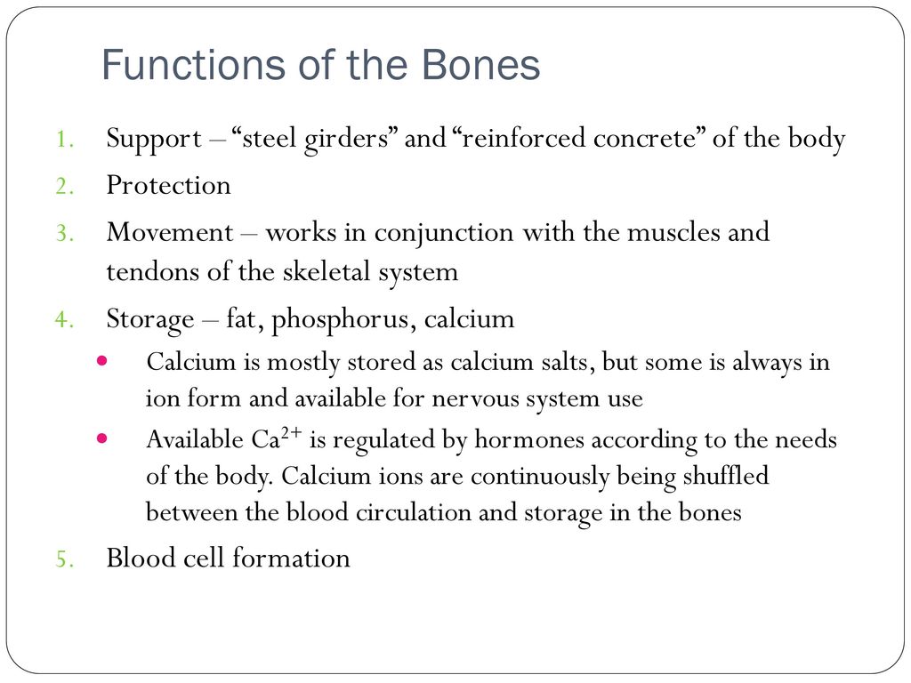 Functions of the Bones Support – steel girders and reinforced concrete of the body. Protection.