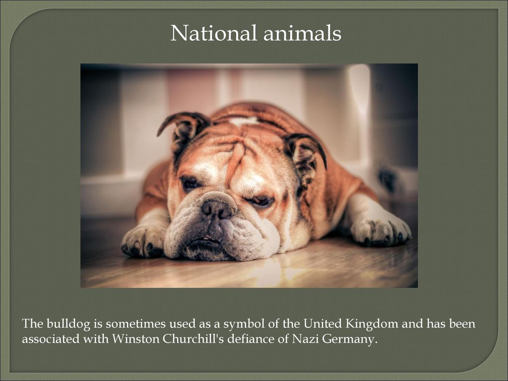National Emblems of the United Kingdom - ppt download