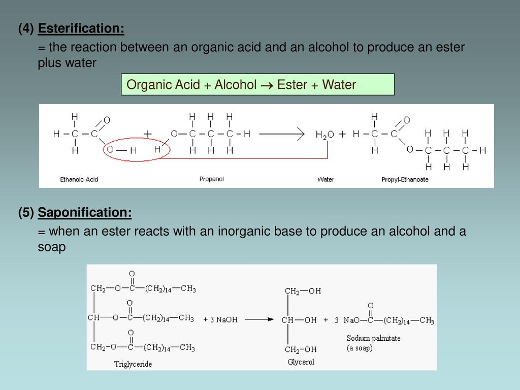 (4) Esterification: = the reaction between an organic acid and an alcohol to produce an ester plus water.