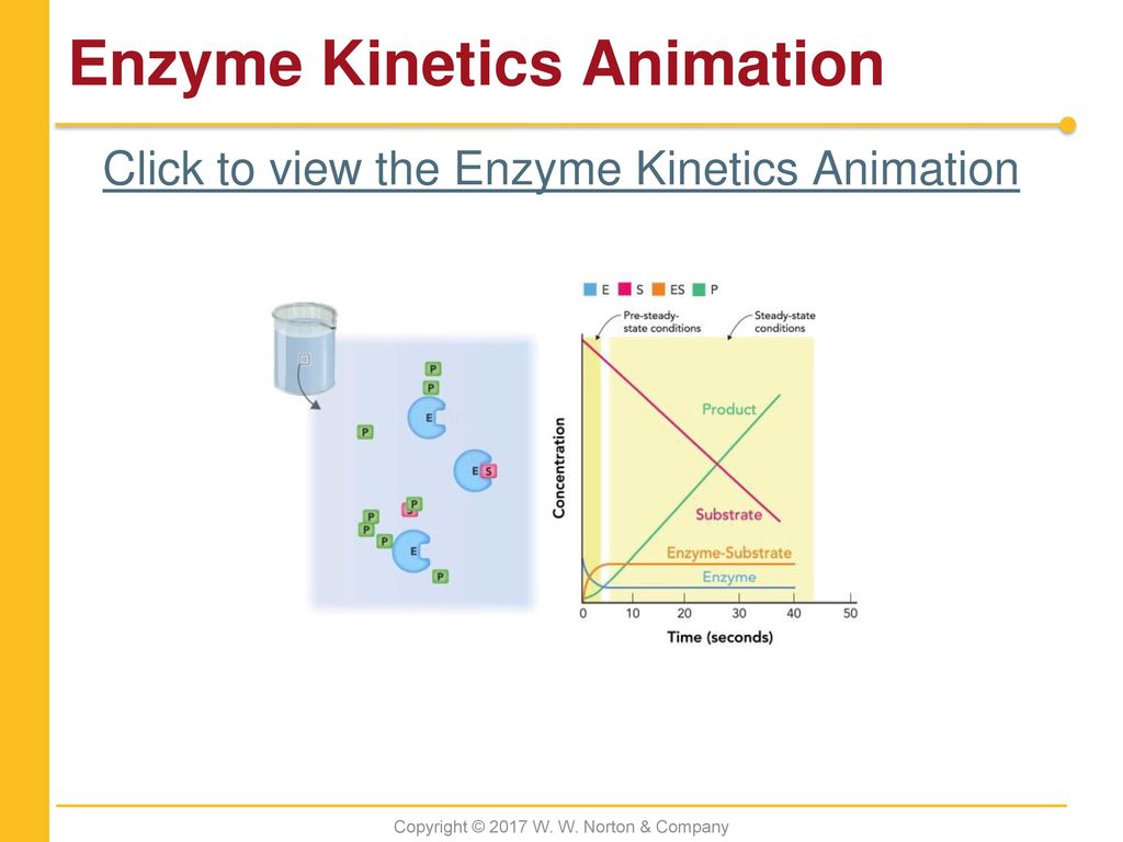 Chapter 7 Enzyme Mechanisms. - ppt download