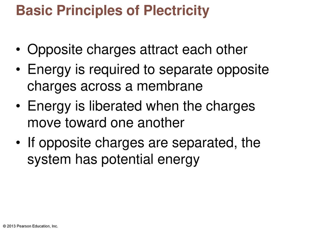 Basic Principles of Plectricity
