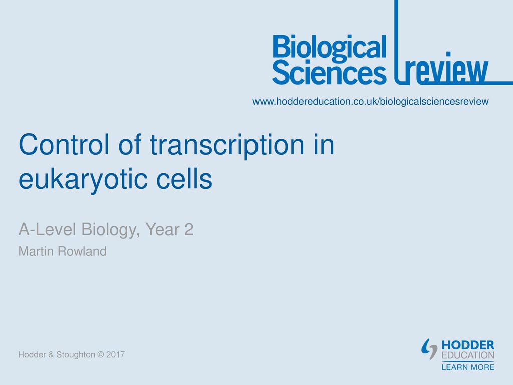 Control of gene expression in eukaryotic cells - ppt download