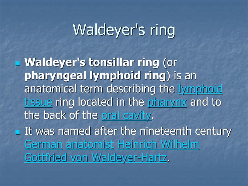 Waldeyer's ring and its function – DR. TRYNAADH