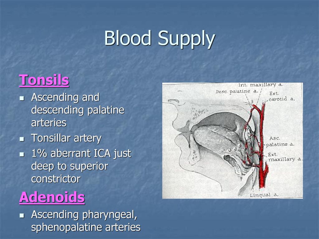 DISEASES OF THE ORAL CAVITY - ppt download