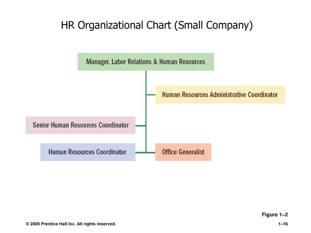 The Strategic Role of Human Resource Management - ppt download