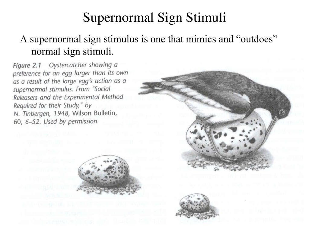 Supernormal Sign Stimuli