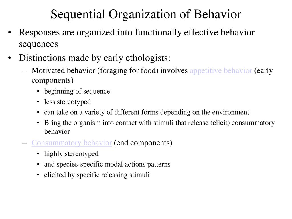 Sequential Organization of Behavior