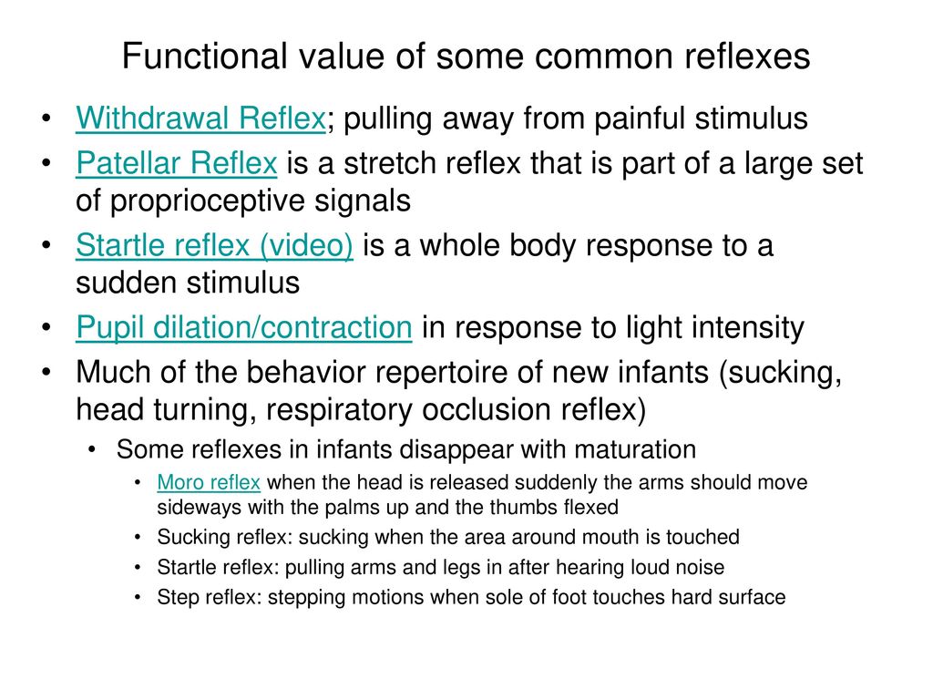 Functional value of some common reflexes