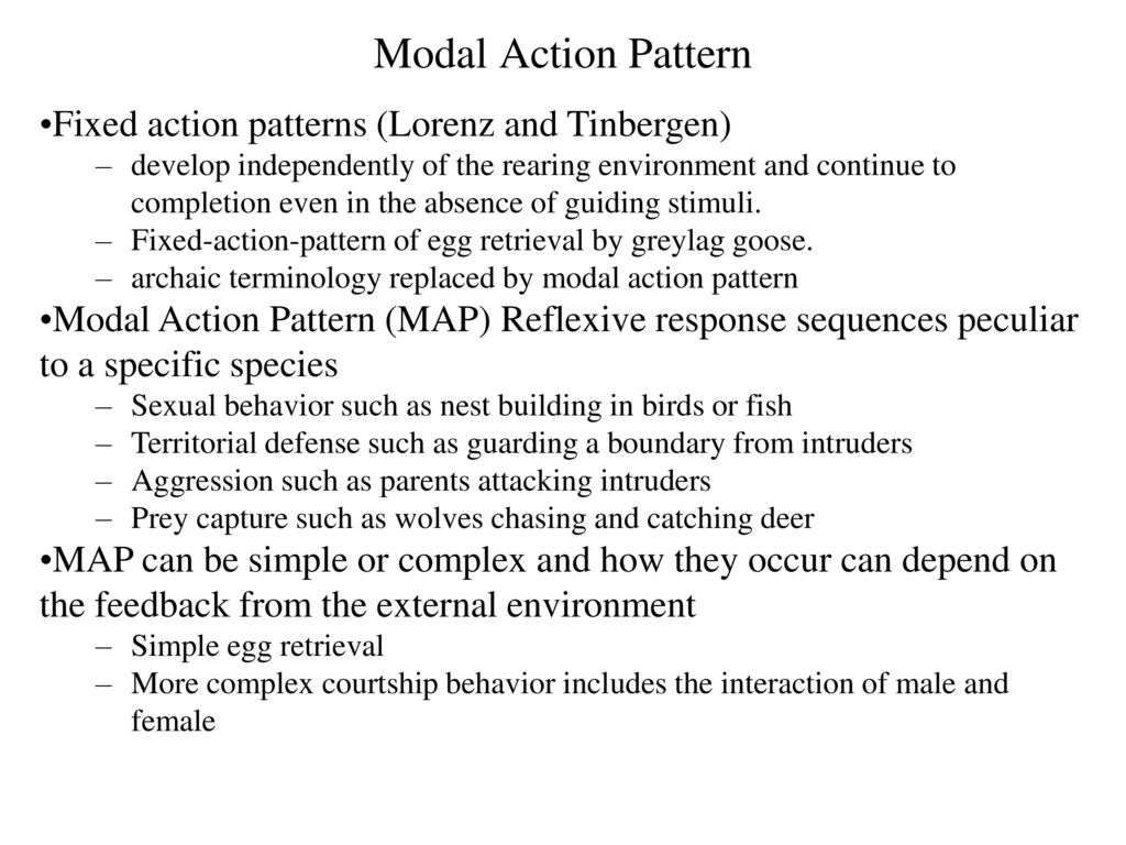 Modal Action Pattern Fixed action patterns (Lorenz and Tinbergen)