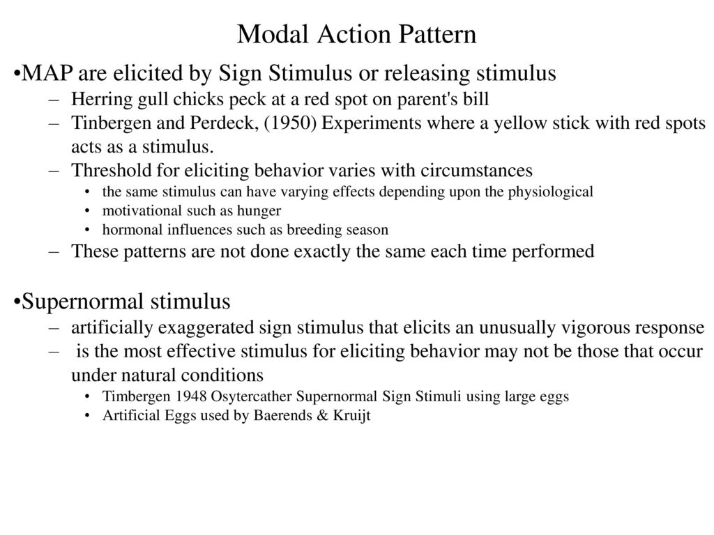 Modal Action Pattern MAP are elicited by Sign Stimulus or releasing stimulus. Herring gull chicks peck at a red spot on parent s bill.