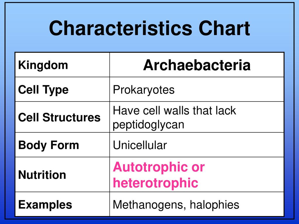 6 Kingdoms Characteristics Chart