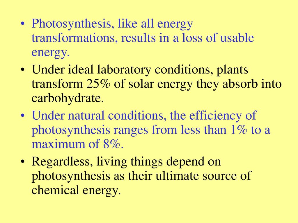 Photosynthesis, like all energy transformations, results in a loss of usable energy.
