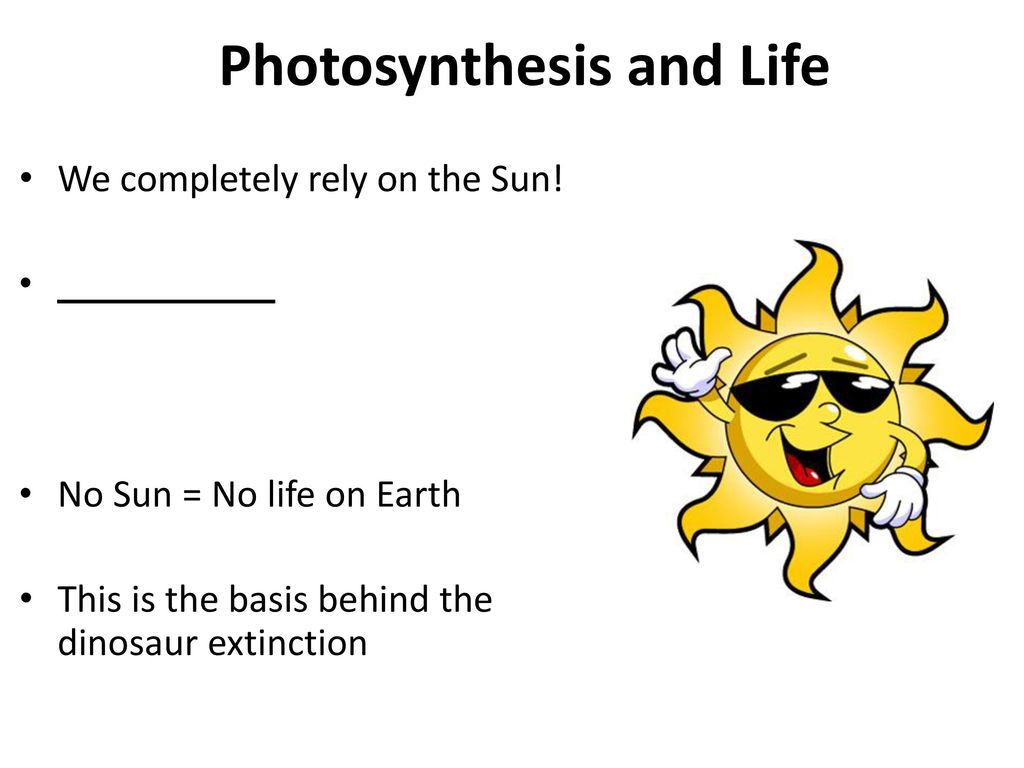 Cellular Respiration And Photosynthesis - An Introduction - Ppt Download