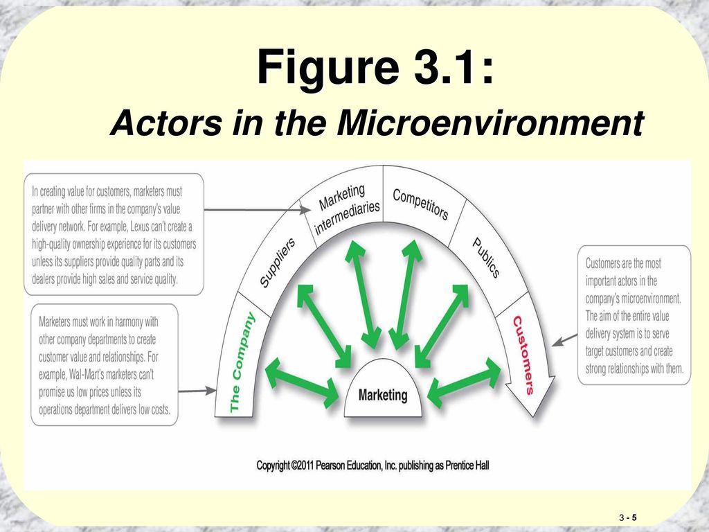 actors in the microenvironment