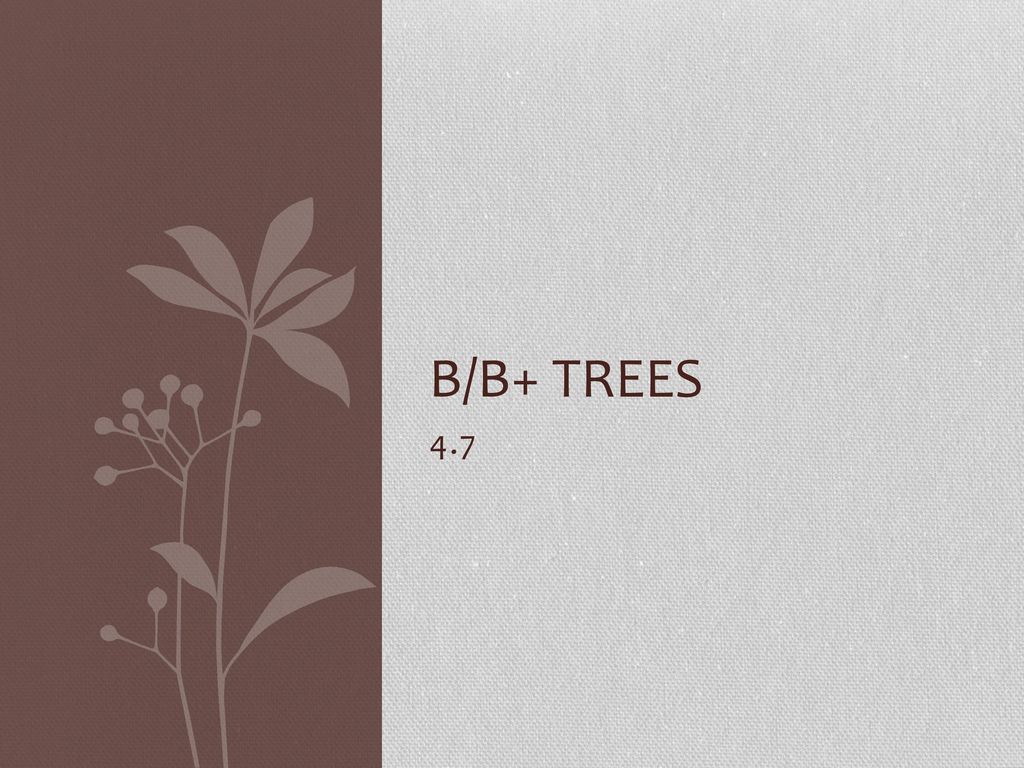 B/B+ Trees Ppt Download