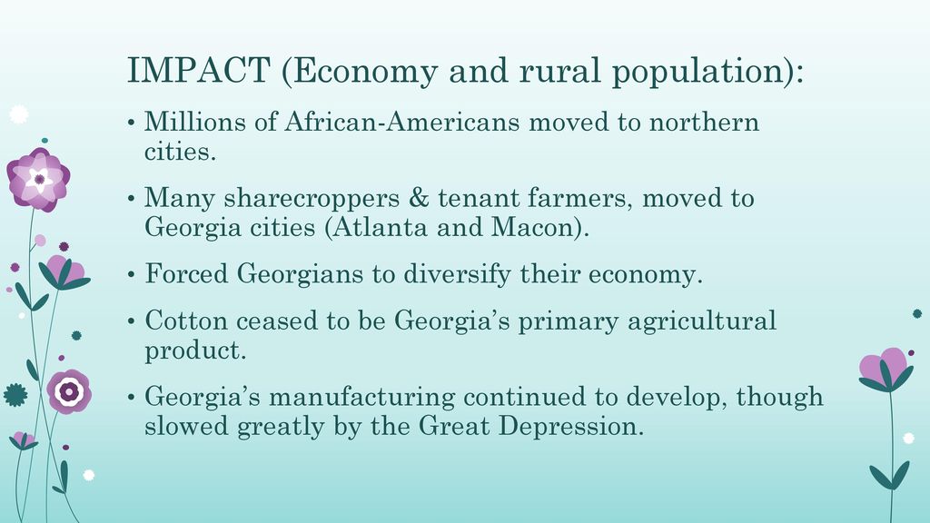 IMPACT (Economy and rural population):