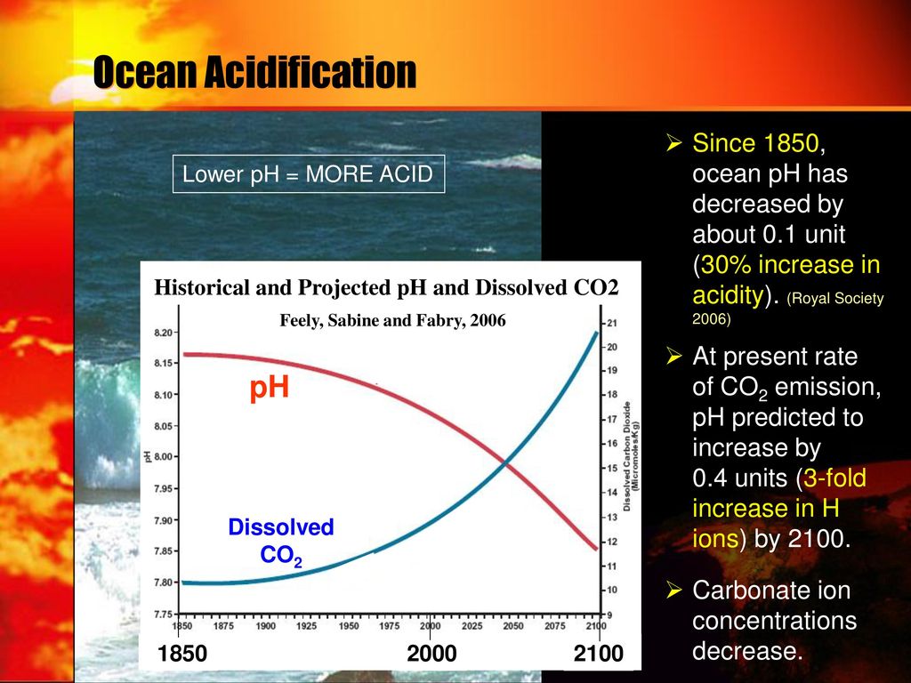 Historical and Projected pH and Dissolved CO2