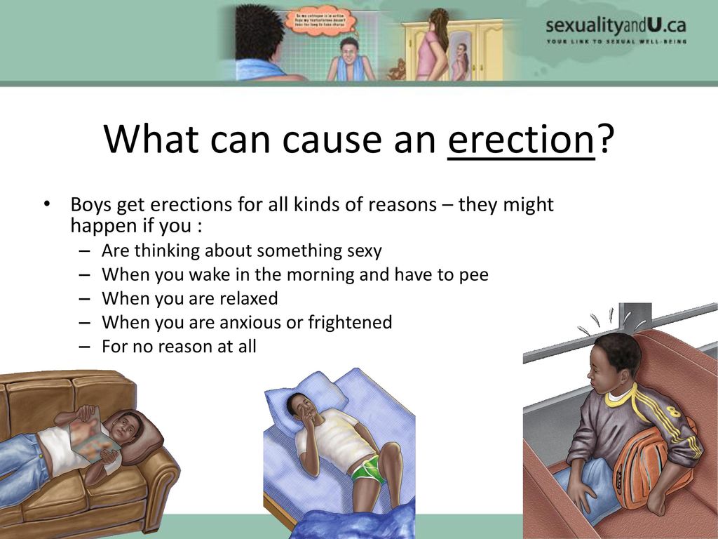 What Do Teens Do About Erections