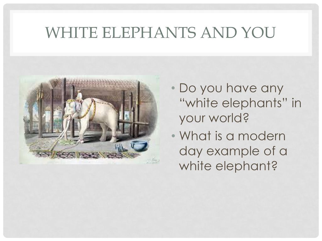 White Elephant - Sunshine and Rainy Days