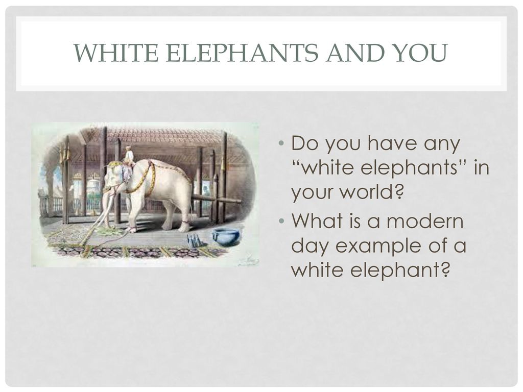 https://slideplayer.com/slide/12992429/79/images/5/White+elephants+and+you.jpg