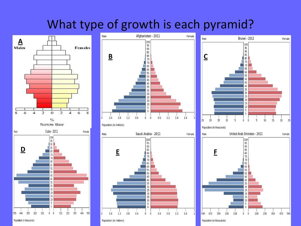 Population Pyramids. - ppt download