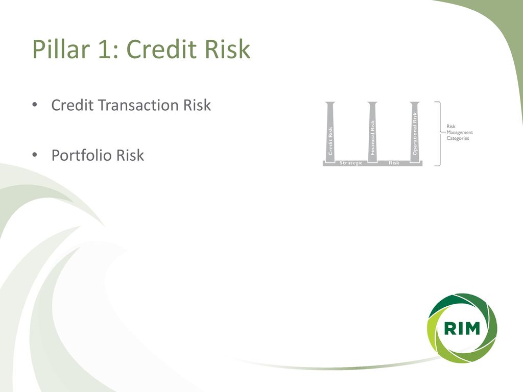 Pillar 1: Credit Risk Credit Transaction Risk Portfolio Risk