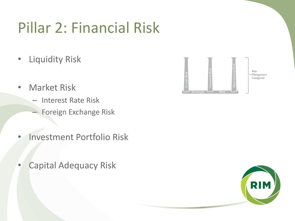Pillar 2: Financial Risk