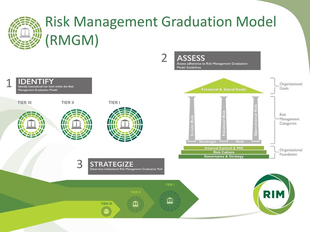 Risk Management Graduation Model (RMGM)