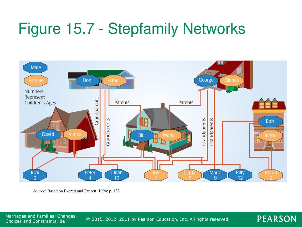 Figure Stepfamily Networks