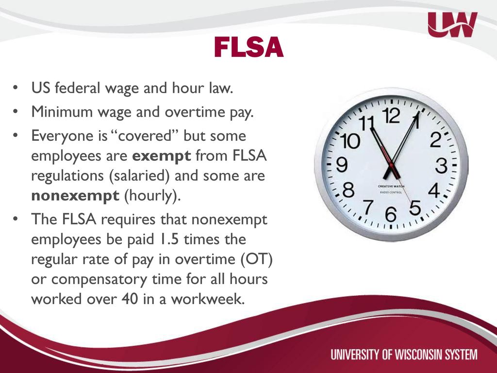 FLSA Change Information ppt download