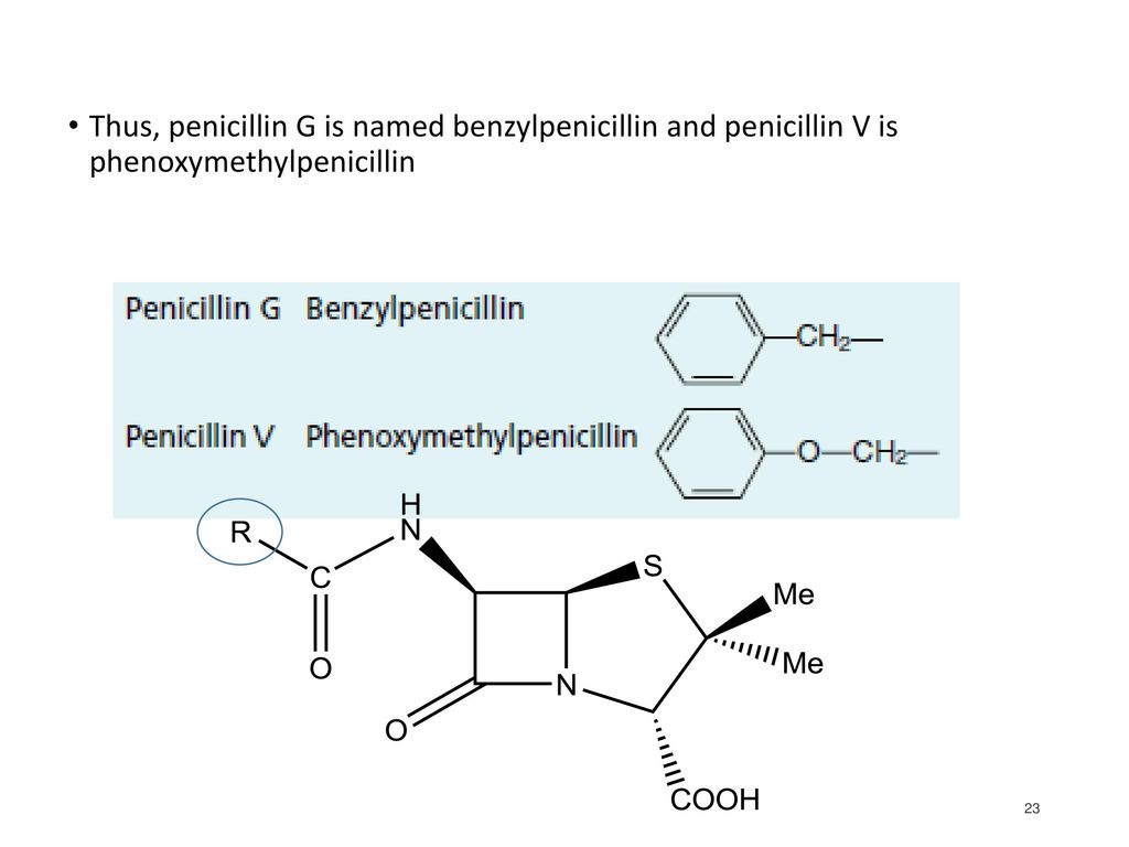 Thus, penicillin G is named benzylpenicillin and penicillin V is phenoxymet...