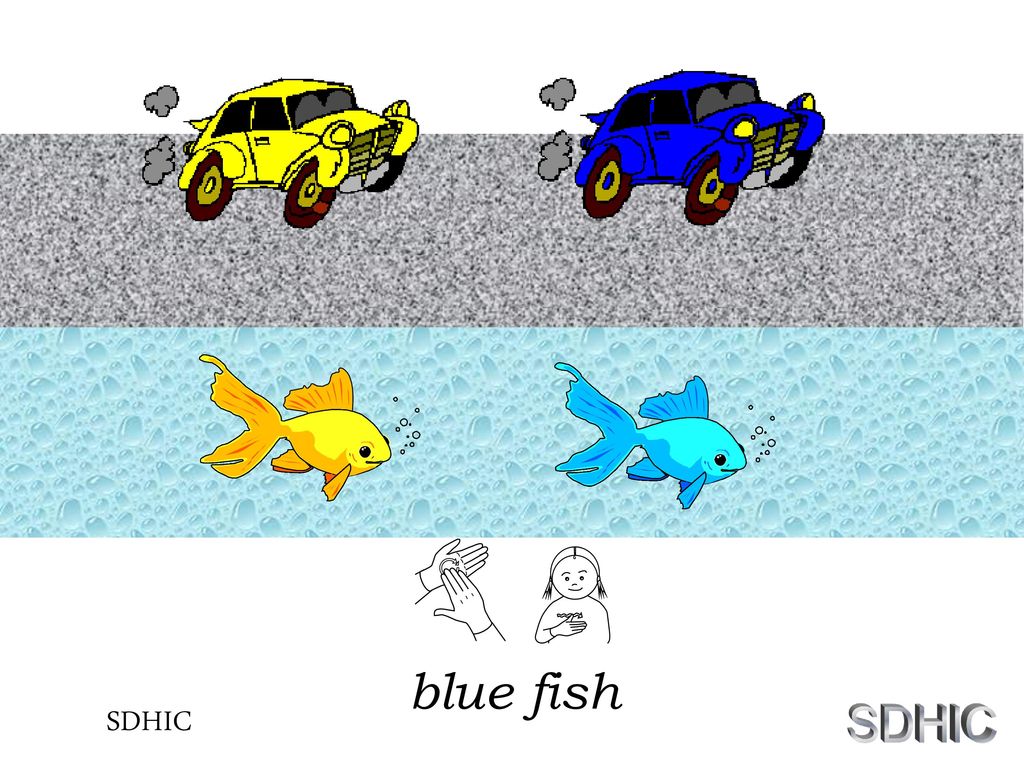 Colour + noun This works in SLIDE SHOW mode - ppt download